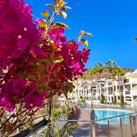 Vista Bella - Planta Baja Al Lado De La Piscina - Ground Floor By The Pool Playa Del Cura (Gran Canaria)