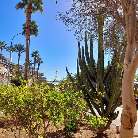 Vista Bella - Planta Baja Al Lado De La Piscina - Ground Floor By The Pool Appartement *